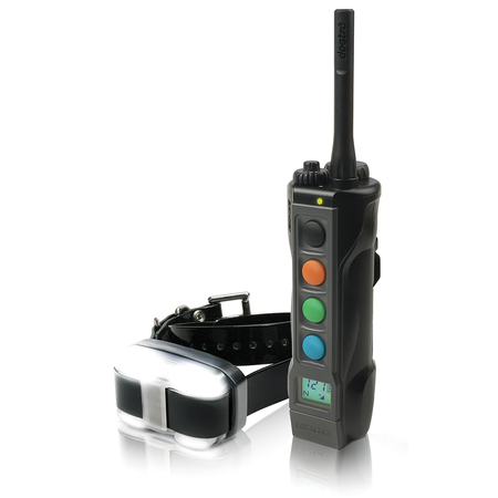 d19 Dogtra, Edge with Single Receiver (Dogtra Edge System)