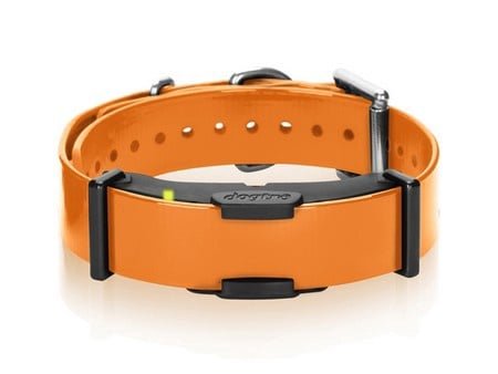 Dogtra, ARC Additional Receiver