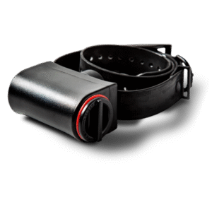 DT Systems, 190 DT No Bark Training Collar