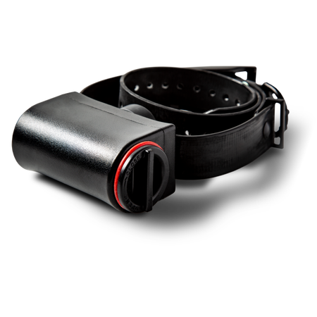 DT Systems, 190 DT No Bark Training Collar