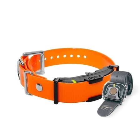 Dogtra, ARC Handsfree PLUS Additional Receiver, Orange
