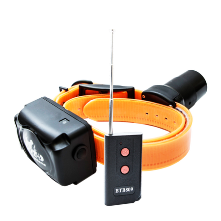 Home 3 DT Systems Collars