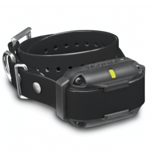 Dogtra, Edge RT Additional Receiver