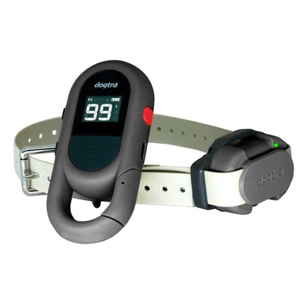 Dogtra Cue Gen2 Electronic Training Collar