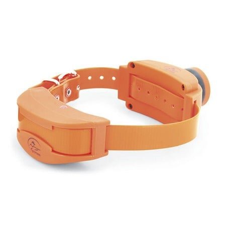Home 5 SPORTDOG COLLARS